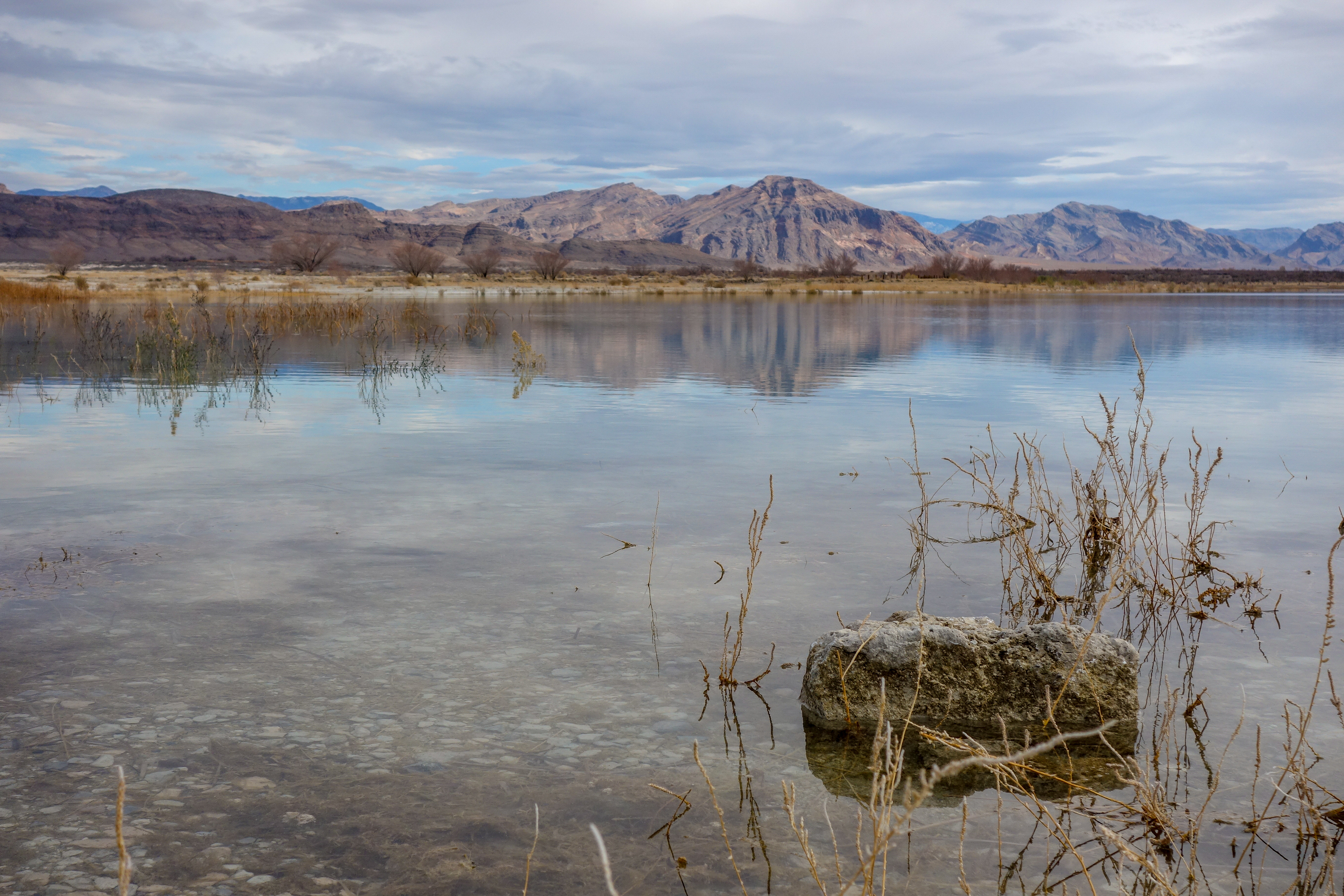 Ash Meadows National Wildlife Refuge