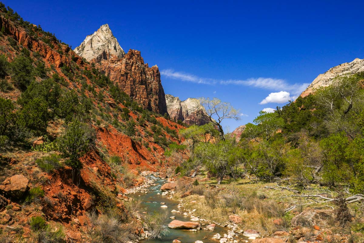 Riding Zion National Park Beer Bikes and Campfires