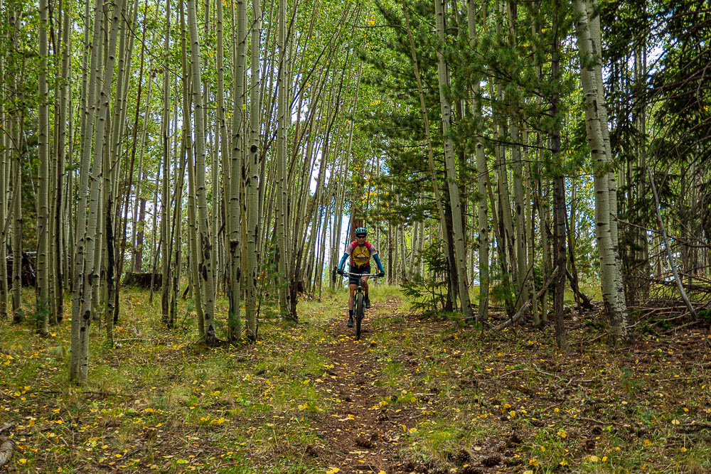Pole Knoll Trails Greer, AZ Beer Bikes and Campfires