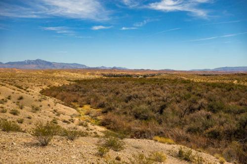 Moapa Valley Trails