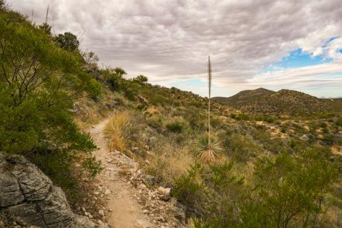 AZ Trail Pistol Hill