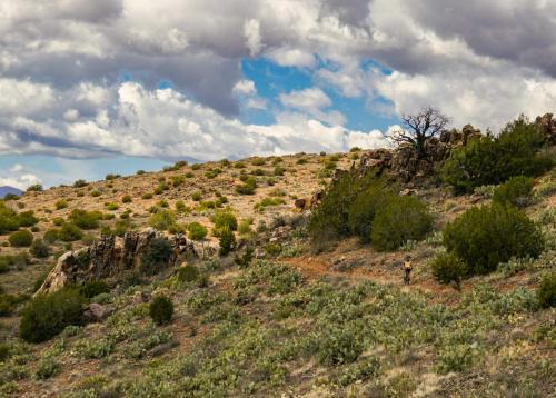 Copper Mountain AZ