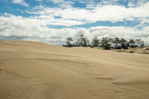 Arcata Dunes-209web