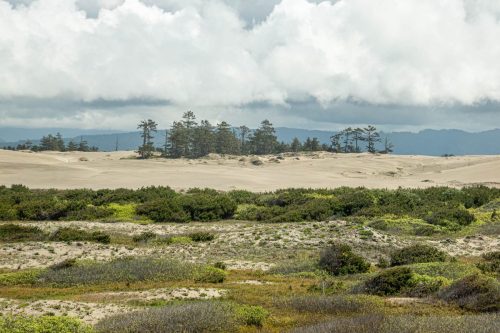 Arcata Dunes-222web
