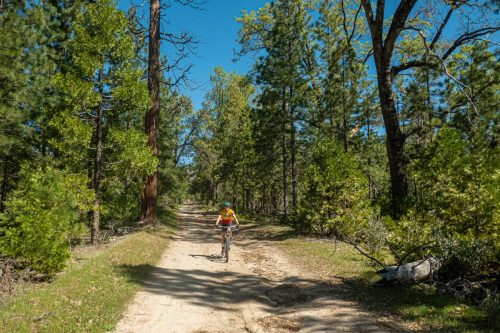 Bass Lake Gravel-204web
