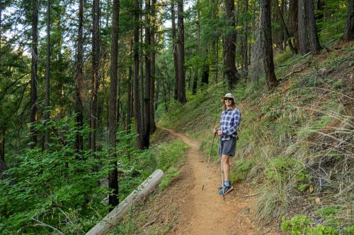 Canyon Creek-200web
