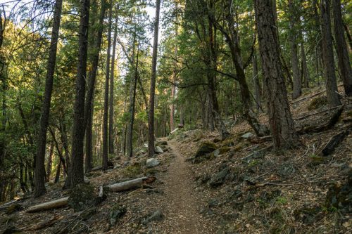 Canyon Creek-202web