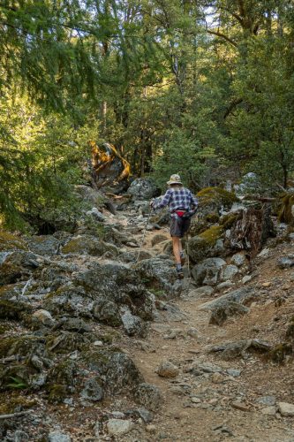 Canyon Creek-204web