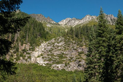Canyon Creek-205web
