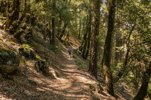 Canyon Creek-207web