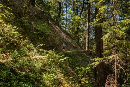 Canyon Creek-210web