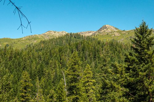 Canyon Creek-211web