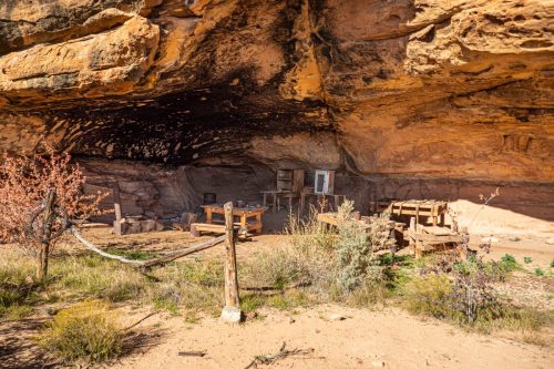 Canyon Spring-200web