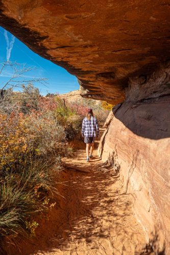 Canyon Spring-201web
