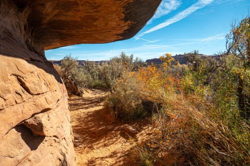 Canyon Spring-203web