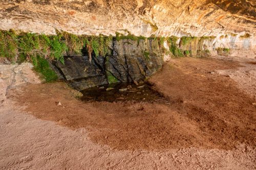Canyon Spring-206web