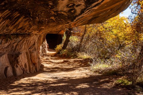 Canyon Spring-208web
