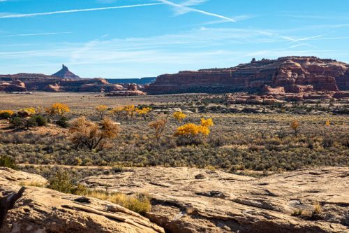 Canyon Spring-210web