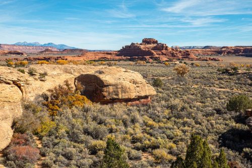Canyon Spring-211web