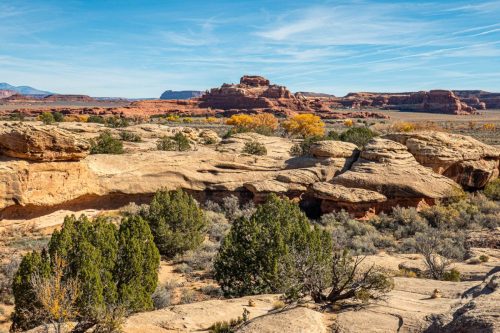 Canyon Spring-212web
