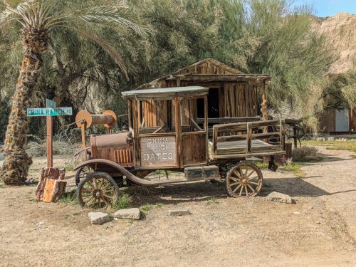 China Date Farm-214web