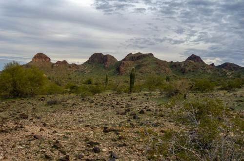 Saddle Mountain, Arizona