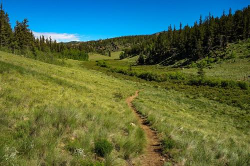 Colorado Trail Rock Creek