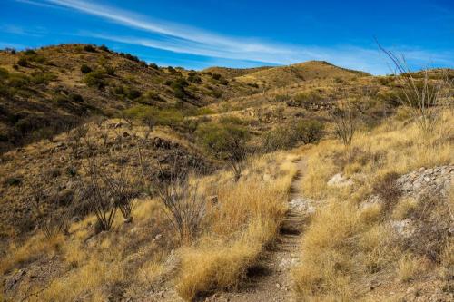 AZ trail Las Colinas