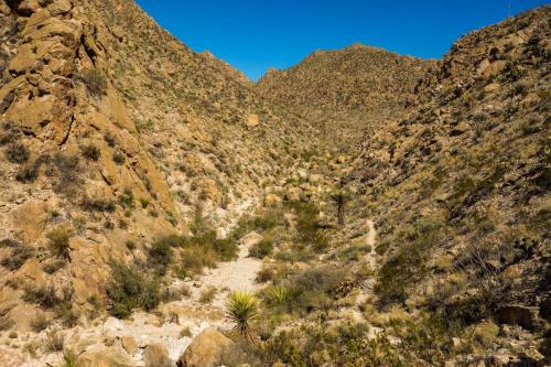 Marufo Vega Trail