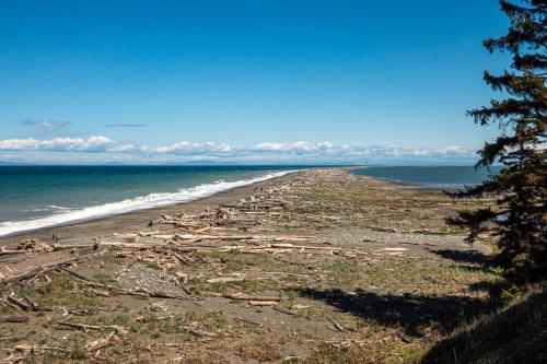 Dungeness Spit-3web