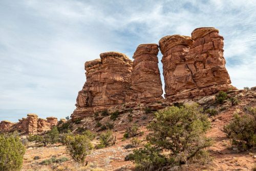 Elephant Hill-215web