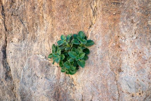 Fall Canyon-208web