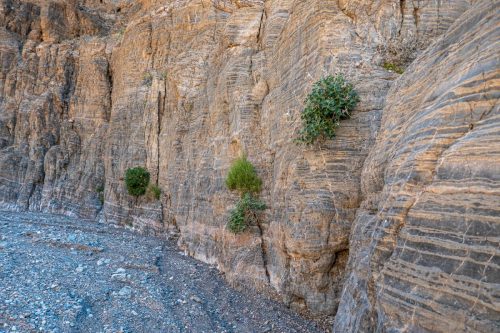 Fall Canyon-213web