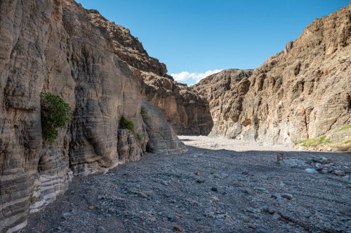 Fall Canyon-214web