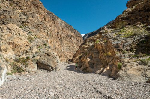 Fall Canyon-225web