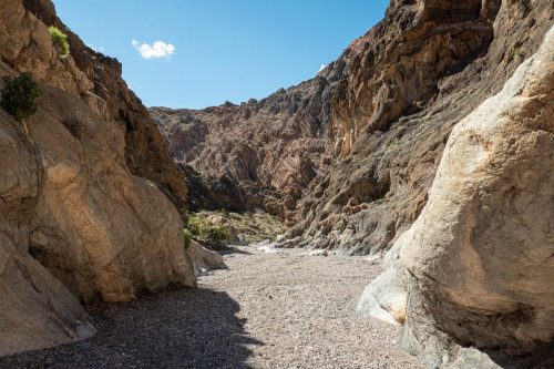 Fall Canyon-230web