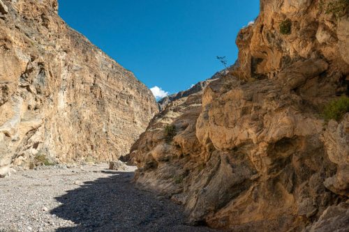 Fall Canyon-231web