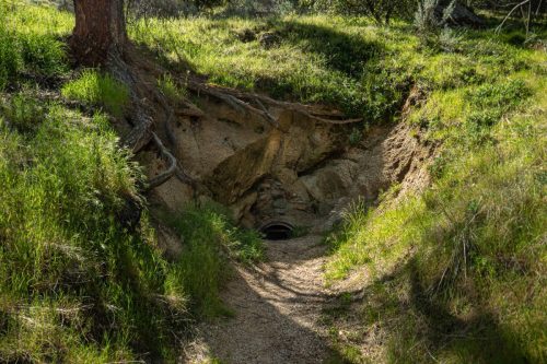 Isabella Peak-202web