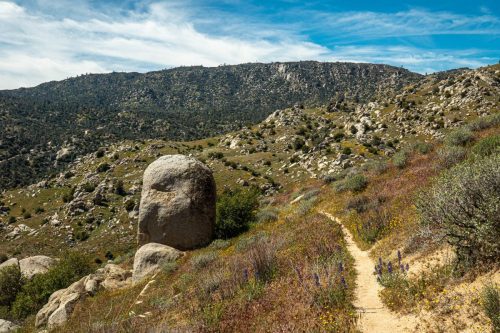 Isabella Peak-224web