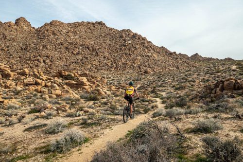 Joshua Tree mtb-201web