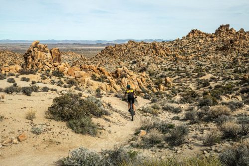 Joshua Tree mtb-204web