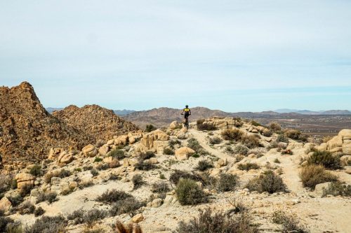 Joshua Tree mtb-209web