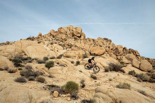 Joshua Tree mtb-210web