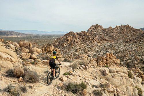 Joshua Tree mtb-213web