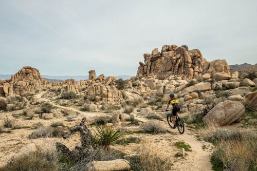 Joshua Tree mtb-215web