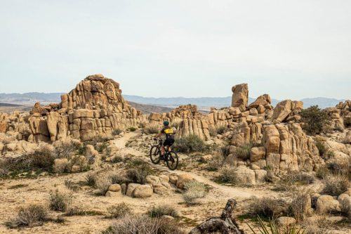 Joshua Tree mtb-216web