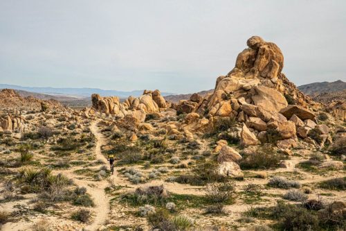 Joshua Tree mtb-218web