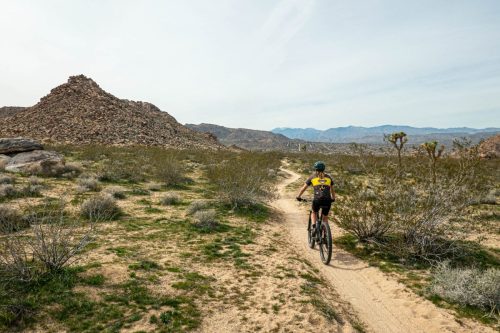 Joshua Tree mtb-220web