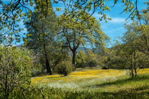 Kern Canyon Rd-213web