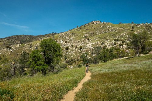 Kern Canyon trail-205web